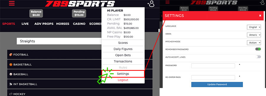 Player Settings